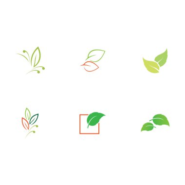 Yaprak logosu illüstrasyon vektörü ve çevre dostu kavram