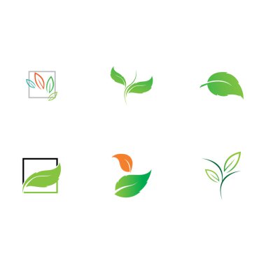 Yaprak logosu illüstrasyon vektörü ve çevre dostu kavram