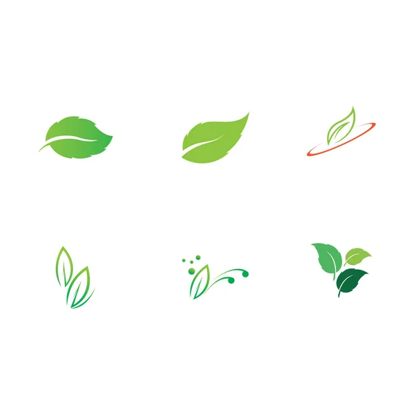 Vettore Illustrazione Logo Foglia Con Concetto Eco Friendly — Vettoriale Stock