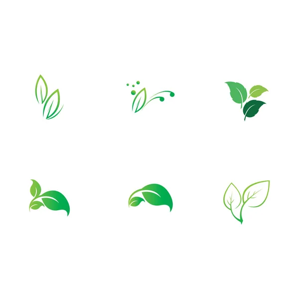 Leaf Logo Illustration Vector Eco Friendly Concept — Stock Vector
