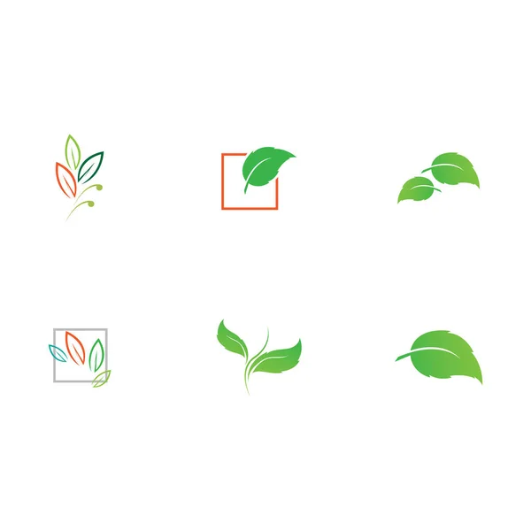 Vettore Illustrazione Logo Foglia Con Concetto Eco Friendly — Vettoriale Stock