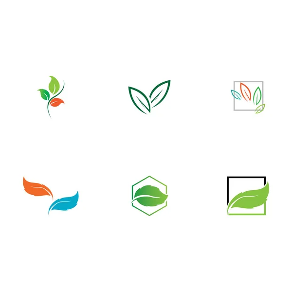 Vetor Ilustração Logotipo Folha Com Conceito Ecológico — Vetor de Stock