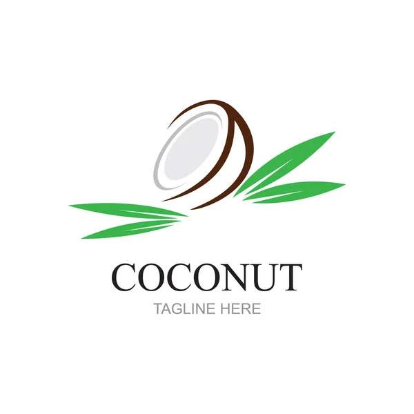 Креативный Современный Кокосовый Листьями Логотип Искушает — стоковый вектор