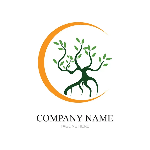 Mangrove Fák Mangrove Erdei Ökológia Logo Design Vektor — Stock Vector