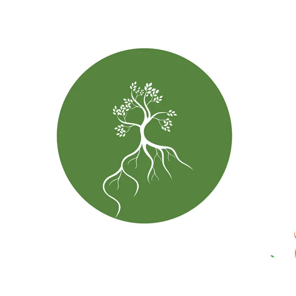 Векторна Ілюстрація Мангрових Дерев Мангрової Лісової Екології Дизайн Логотипу Векторна Графіка