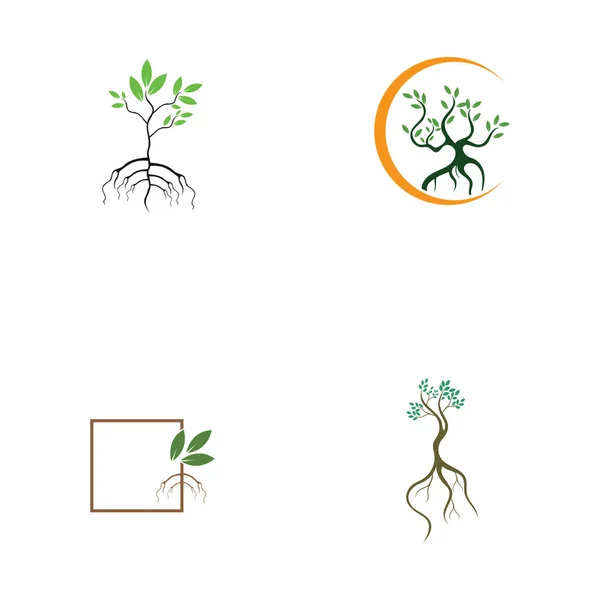 Eine Sammlung Logo Von Mangrovenbäumen Und Mangroven Forest Ecology Logo — Stockvektor
