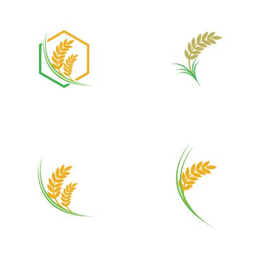 pirinç logosu ve beyaz arkaplanda ticari ürün sembolü
