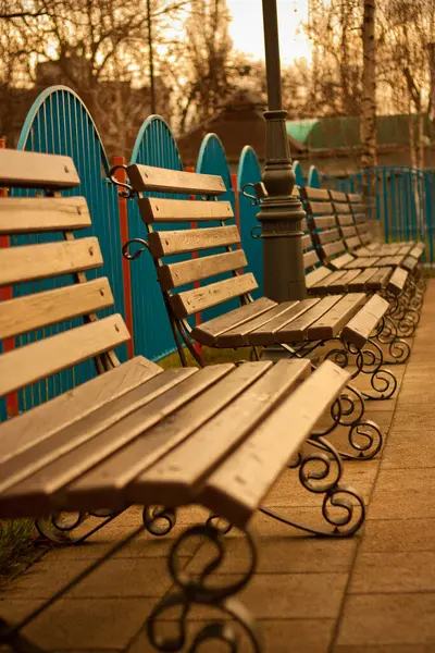 Sonbahar şehir parkındaki banklar. Renkli manzara.