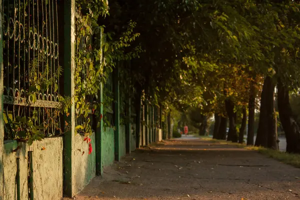 Günaydın eski park. Eski bir park çiti. Sonbahar başları.
