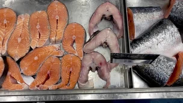 魚市場のアイスカウンターに寝そべっている生の新鮮な鮭のステーキフィレ シーフード市場で棚を開きます 閉じろ — ストック動画