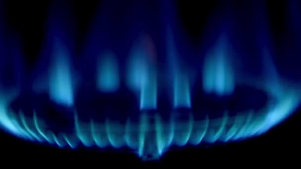 Blue Fire Gas Stove Domestic Kitchen Burning Flames Propane Natural — Vídeo de stock