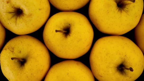 Raw Fresh Ripe Yellow Golden Delicious Apples Delicious Vegetarian Vegan — Stok video