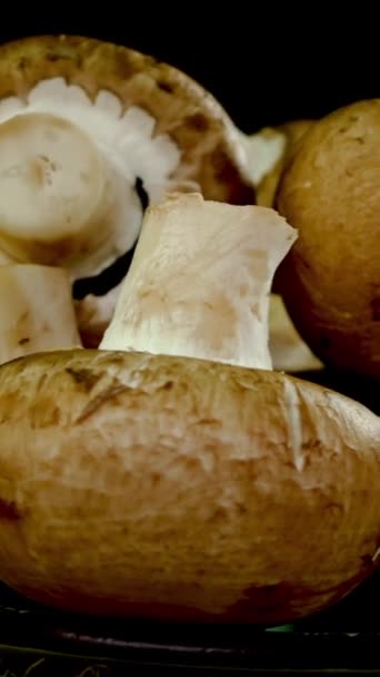 Vertikal Geschossene Rohe Champignon Pilze Rotieren Langsam Auf Schwarzem Hintergrund — Stockvideo