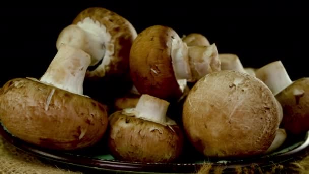 Muitos Cogumelos Champignon Reais Crus Giram Lentamente Sobre Fundo Preto — Vídeo de Stock