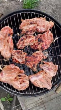 Zengin Aromalar ve Lezzetli Izgara Domuz Bifteği Kömür Sokağı-BBBQ 'da Pişirildi. Sulu Domuz Bifteği, Uzman olarak Residential Home 'un arka bahçesinde pişirilmiş. Dikey. Kapat..