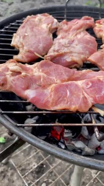 Aromas Sabores Ricos Filetes Cerdo Parrilla Cocidos Barbacoa Calle Carbón — Vídeo de stock