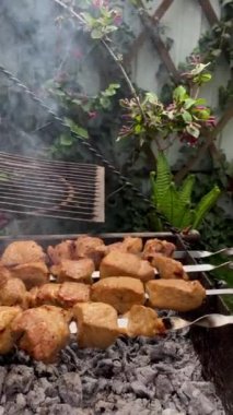 Pişirme Ustalığı İçin Adım Adım Izgara Kılavuzu Cızırdayan Şiş Şiş Şiş. Açık Ateş Mangosu 'nda Mükemmel Izgara Yumuşak Et. Dikey. Kapat..