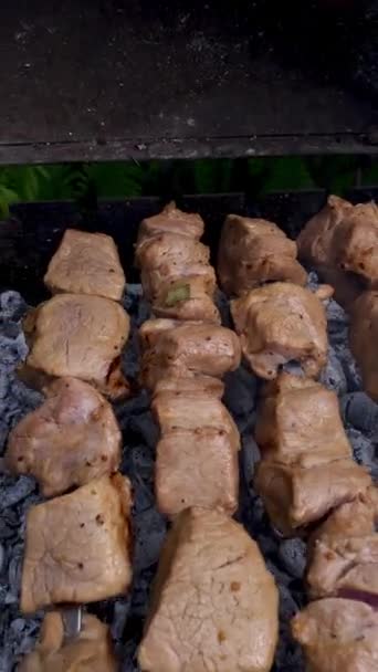 Grilling Step Step Guide Expertly Cooked Sizzling Shashlik Skewers Perfectly — Stock Video