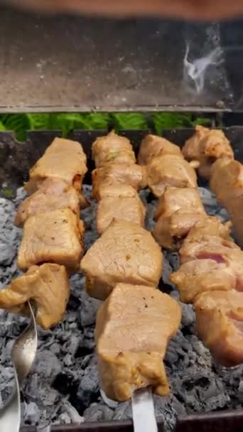Grilling Step Step Guide Expertly Cooked Sizzling Shashlik Skewers Dalam — Stok Video