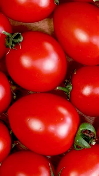 Attrait Visuel Tomates Cerises Juteuses Rouges Tourne Comme Fond Solide — Video