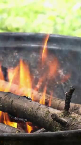 美丽的火焰从篝火的舞动和闪烁中喷出浓烟和火苗 发出强烈的热量 用果树的枝条准备烤制热煤 垂直的 靠近点 — 图库视频影像