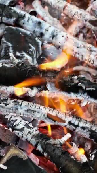 Тепло Яркие Горящие Угли Интенсивный Язык Пламени Горящего Угля Огненные — стоковое видео