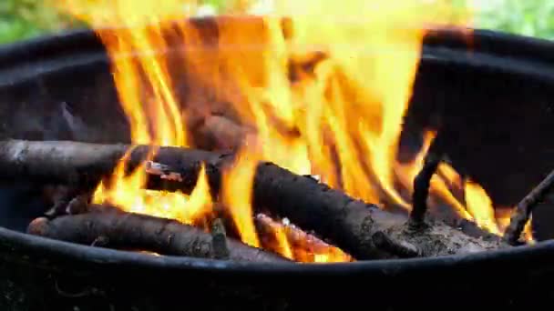 炎の煙と薪火の踊りとちらつきの火が激しい熱を作りました 果物の木から枝を焼くための熱い石炭を準備します 閉じろ — ストック動画