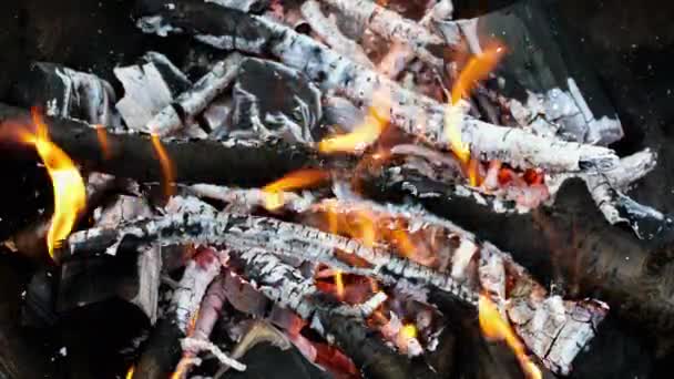 Glühende Glühende Kohlen Und Intensive Zungenflammen Brennender Holzkohle Feurige Glut — Stockvideo