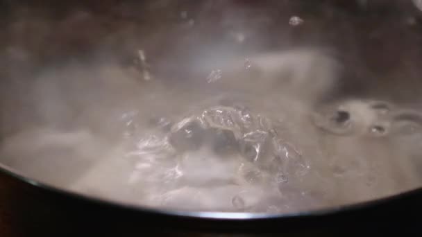 Mutfağındaki Kaynayan Suyun Içine Yapımı Khinkali Atıldı Geleneksel Gürcistan Mutfağı — Stok video