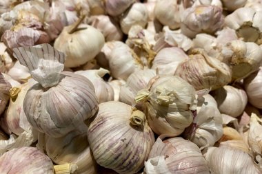 Büyük sarımsak kafaları süpermarket tezgahına satılmaya bırakılmış. Antioksidan ve vitaminli vejetaryen ve vejetaryen ürünler. Kapat..