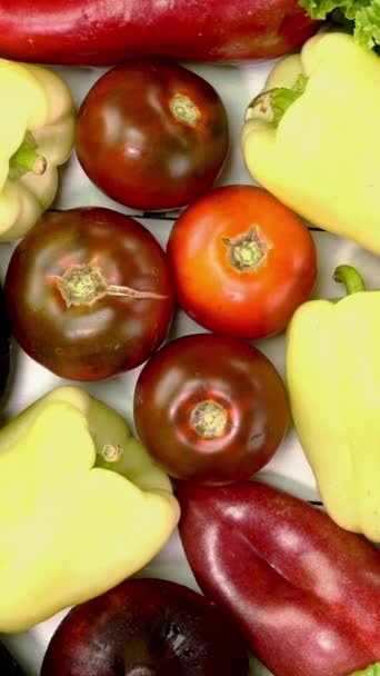 健康的な料理のために地中海産の新鮮な野菜の品揃え 新鮮な庭のアボカド ニンジン レタス トマト ピーマン 回転する 垂直に クローズアップ — ストック動画