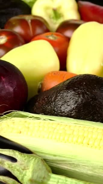 Surtido Verduras Frescas Mediterráneas Cultivadas Casa Para Una Cocina Saludable — Vídeo de stock