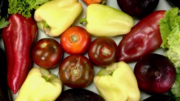 分发土生土长的冥想新鲜蔬菜 用于健康烹调 新鲜菜园茄子 胡萝卜 西红柿 红洋葱 欧芹轮作 靠近点 — 图库视频影像