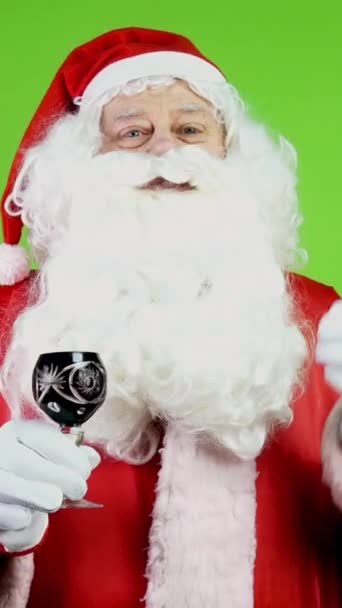 Alegre Santa Claus Con Copa Vino Con Tostadas Felicita Navidad — Vídeo de stock