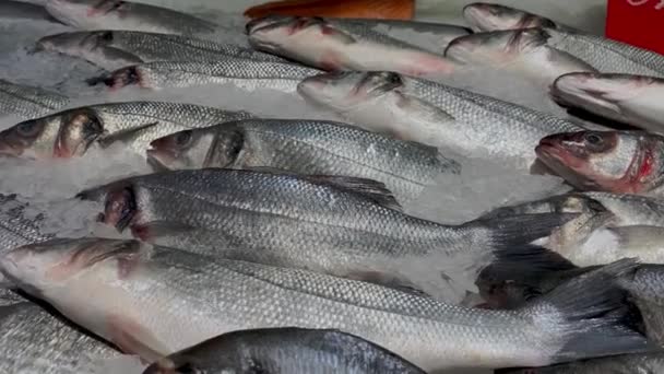 Frischer Roher Fisch Bestreut Mit Crushed Ice Kühlschrank Auf Der — Stockvideo