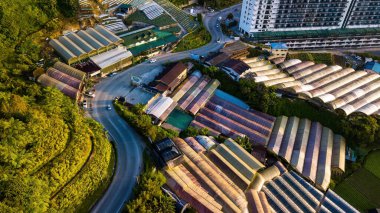 Sebze üretim alanı ve seranın hava tarımsal görünümü.