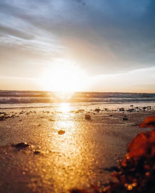 Altın gün batımında kumsalın güzel manzarası.