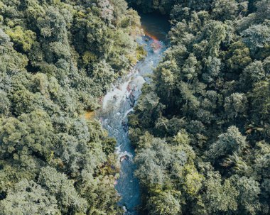 river flowing in the rainforest jungle. Aerial view