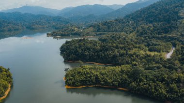 Green lake and rainforest tropical trees in Kuala Kubu Bharu, Malaysia.