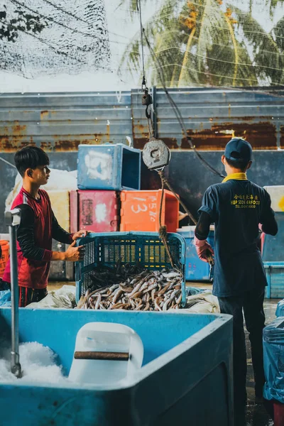 Секинчан Малайзия Октября 2022 Огнеборцы Вылавливают Улов Рыбы Контейнерах Причала — стоковое фото