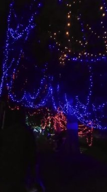 Gece yürüyen ışıklar.