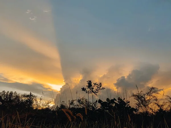 Layers of clouds with sun shining behind leaving beautiful rays of sun from behind. Dramatic sunset sky with vibrant colors. Low angle view from the tropical trees.