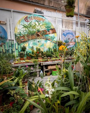 CAMERON HIGHLAND, MALAYSIA - 16 Sep, 2022 Kapalı Çiçek Bahçesi
