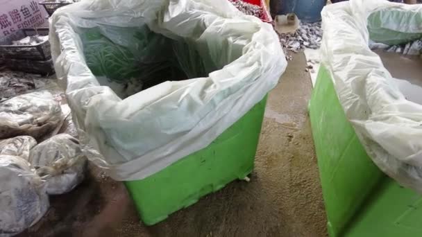 Besut Malasia Marzo 2023 Corte Pescado Descongelado Suelo Con Muchas — Vídeos de Stock