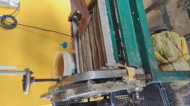 Çiğ Balık Krakerleri Endüstriyel Makineyle Dilimleniyor Bin Dikey Video — Stok video