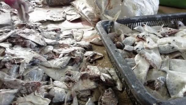 이지아 에서는 크래커 업자들 바구니에 파리를 바닥에서 고기를 자르고 슬로우 — 비디오