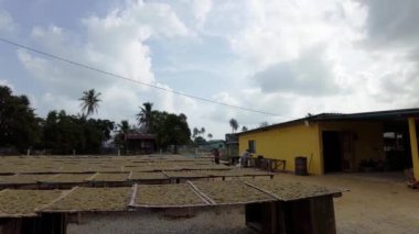 Besut, Malezya - 14 Mart 2023 Çiğ balık krakerleri güneşte kuruyor, Besut, Terengganu 'da bir kulübe endüstrisi. 4 bin. El bilgisayarı