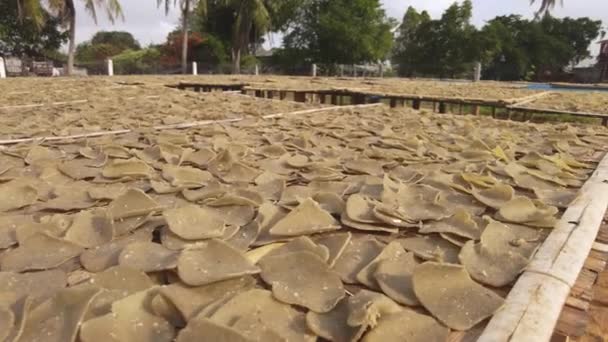 Close View Raw Fish Crackers Getting Dried Sun Table Besut — Stock Video