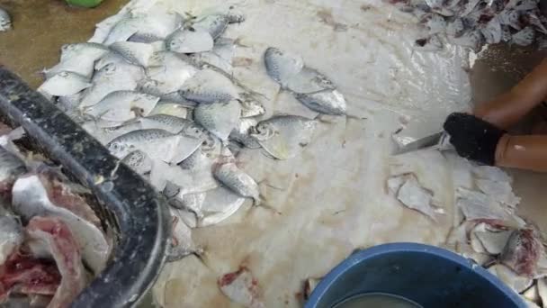 Ruční Řezání Ryby Podlaze Pokryté Plátnem Při Nošení Rukavic Zpomalení — Stock video