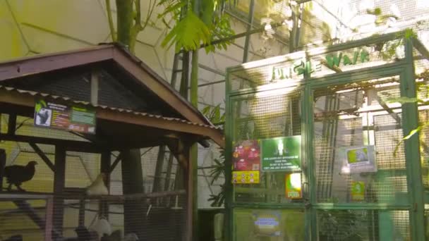 Kajang Malasia Julio 2023 Pov Entrance Jungle Walk Cage Farm — Vídeo de stock